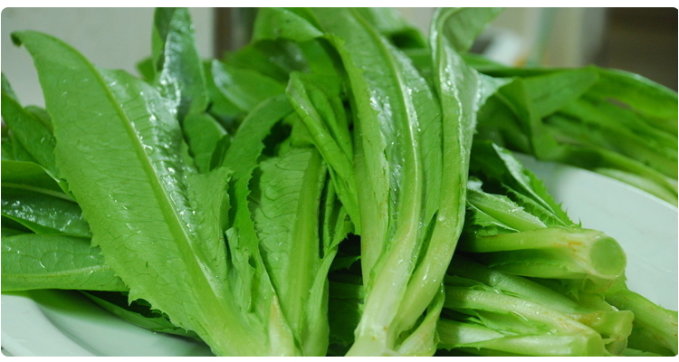 有机油麦菜礼盒 有机蔬菜 鲜嫩清香 农场直供 蔬菜配送 4斤装_3